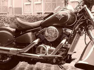 VN 800